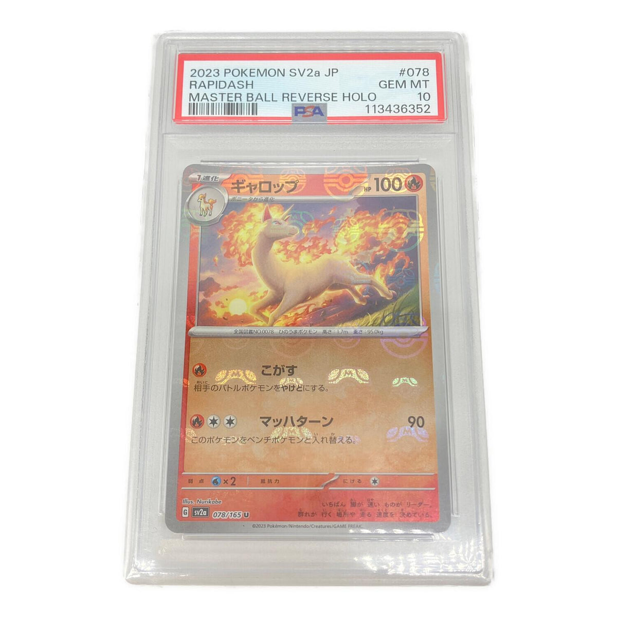 gallop 078/165 – PSA 10
