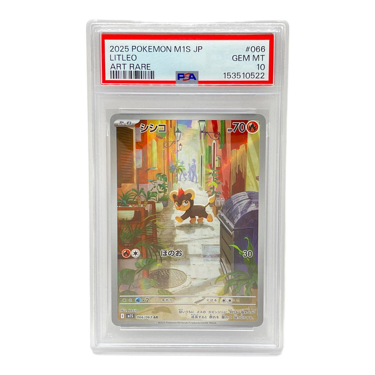 Shishiko AR 066/063 – PSA 10