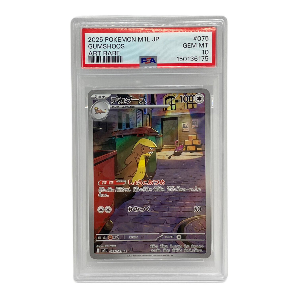 big goose AR 075/063 – PSA 10